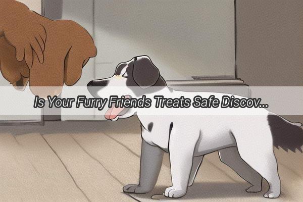 Is Your Furry Friends Treats Safe Discover the Fruits Your Dog Can Nibble on